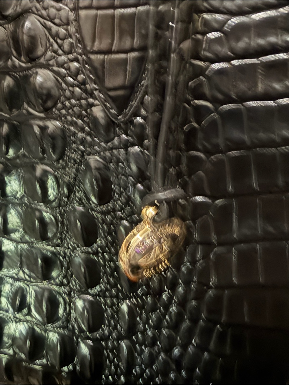 Brahmin - Picture 2 of 9